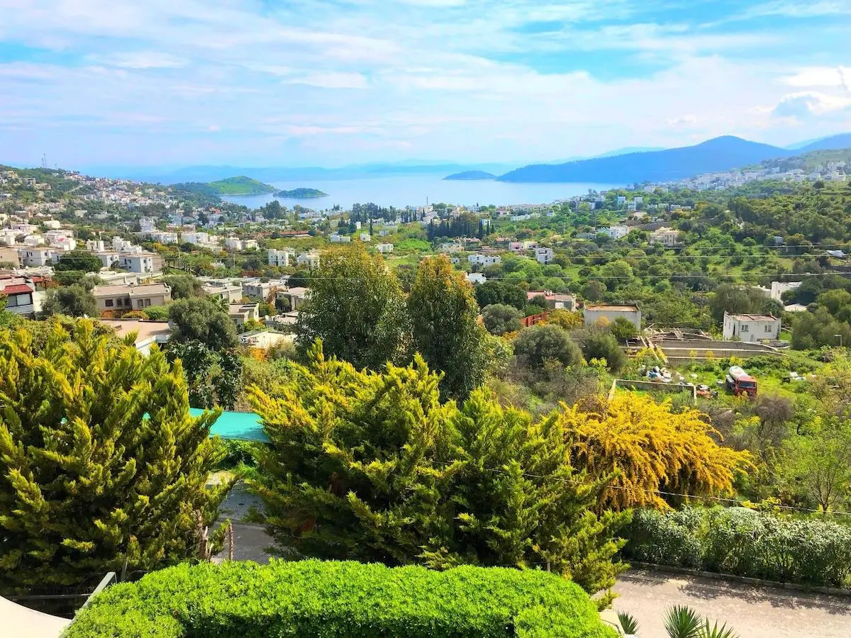View of Turkbuku